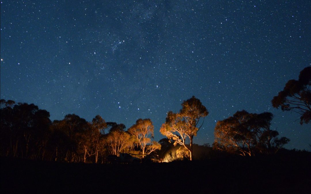 NAIDOC WEEK: 4–11 July 2021